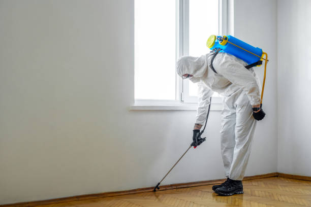 Best Pest Removal Services  in Abbotsford, WI