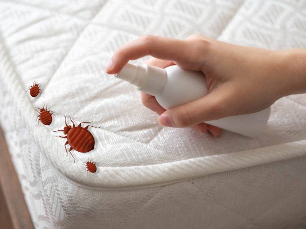 Best Best Pest Control Companies  in Abbotsford, WI