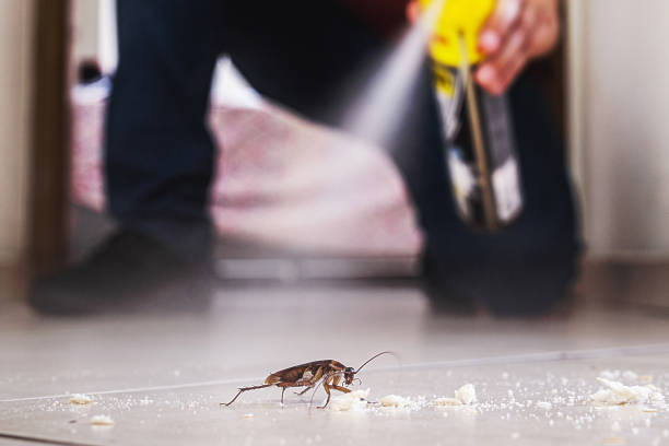Best Local Pest Control Services  in Abbotsford, WI