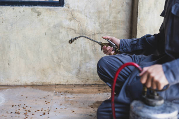 Best Best Pest Control Companies  in Abbotsford, WI