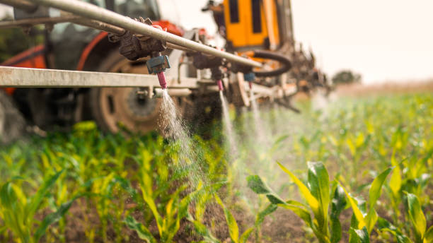Best Pest Prevention Services  in Abbotsford, WI